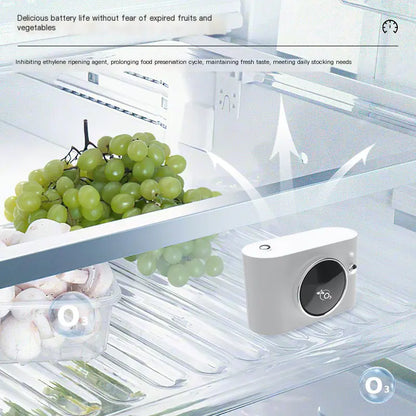 Ozone Sterilizer and Deodorizer for Refrigerators and Cars