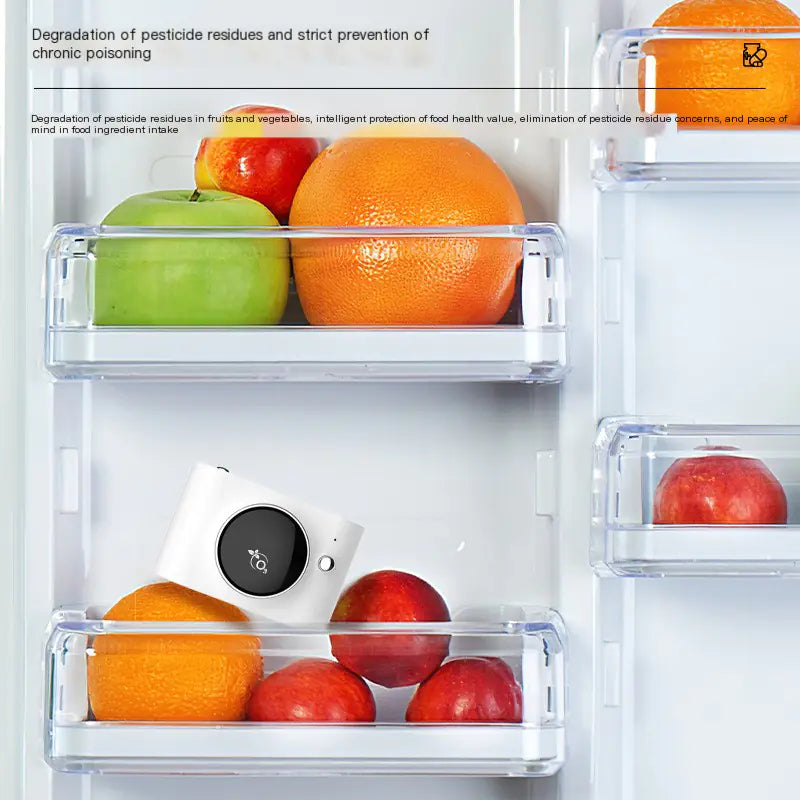 Ozone Sterilizer and Deodorizer for Refrigerators and Cars